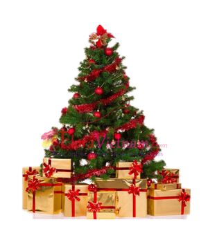 send christmas tree 90cm to vietnam