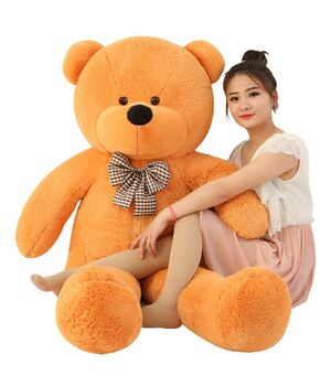 send soft big teddy bear send to vietnam